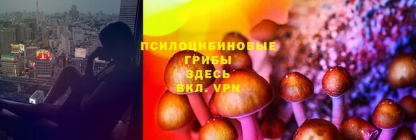 Альфа ПВП Медногорск