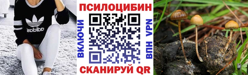 Галлюциногенные грибы Psilocybine cubensis  Таштагол 